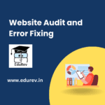 website audit