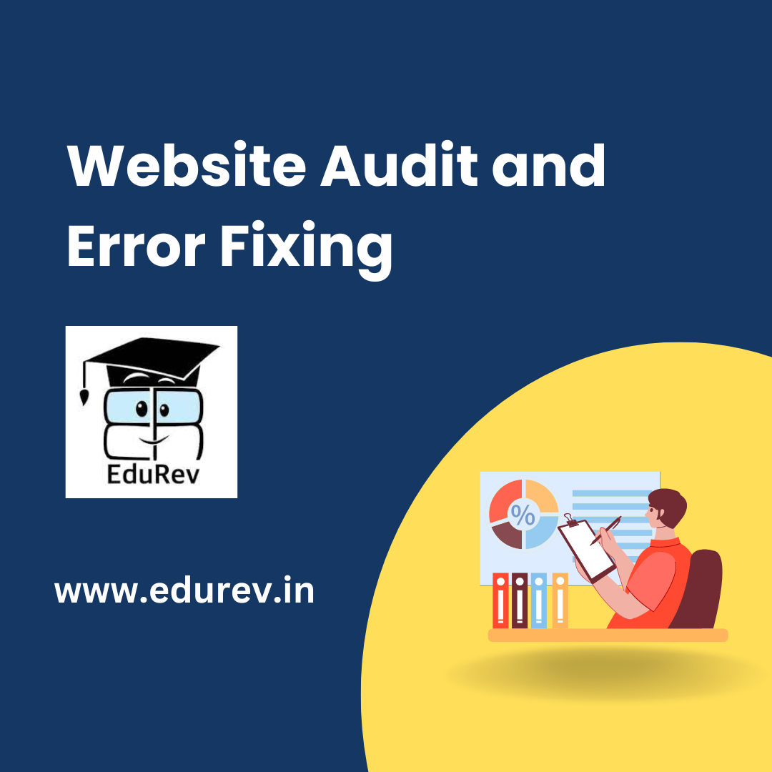 website audit